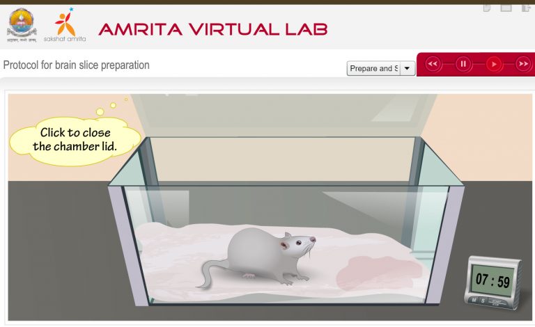 Amrita’s Biotechnology Virtual Labs, a lab at your finger tip!